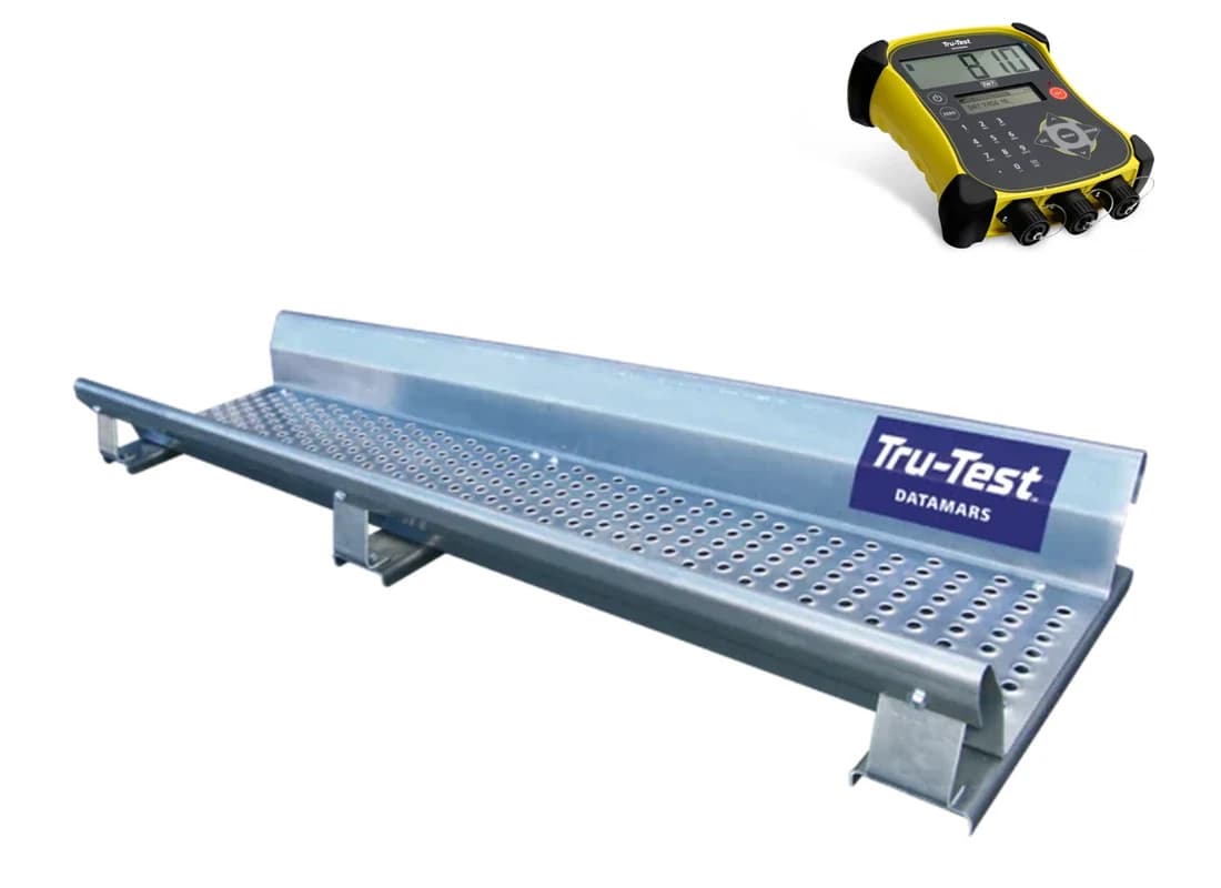 Plataforma de pesagem Tru-Test 2000 kg com módulo EziWeigh7i