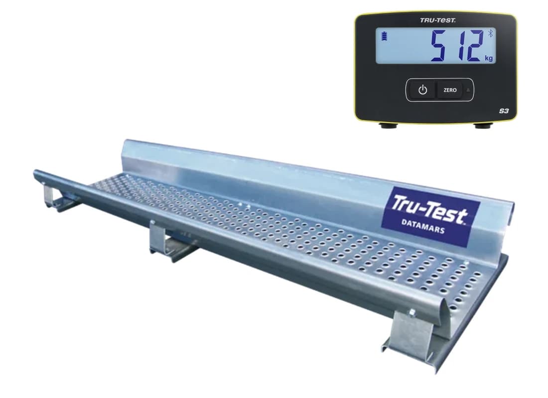 Plataforma de pesagem Tru-Test 2000 kg com módulo S3